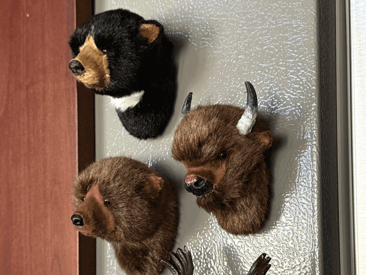 yellowstone-bison-bear-fridge-magnet yellowstone-bison-bear-fridge-magnet