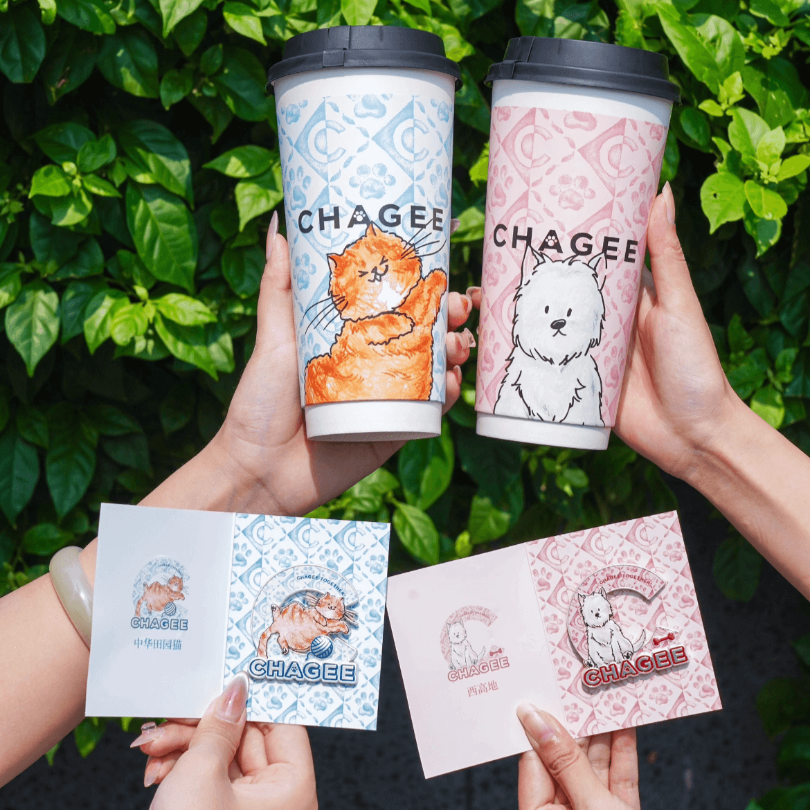 CHAGEE Cups with Pins