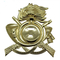 Shiny Gold 3D Design Custom Metal Lapel Pin